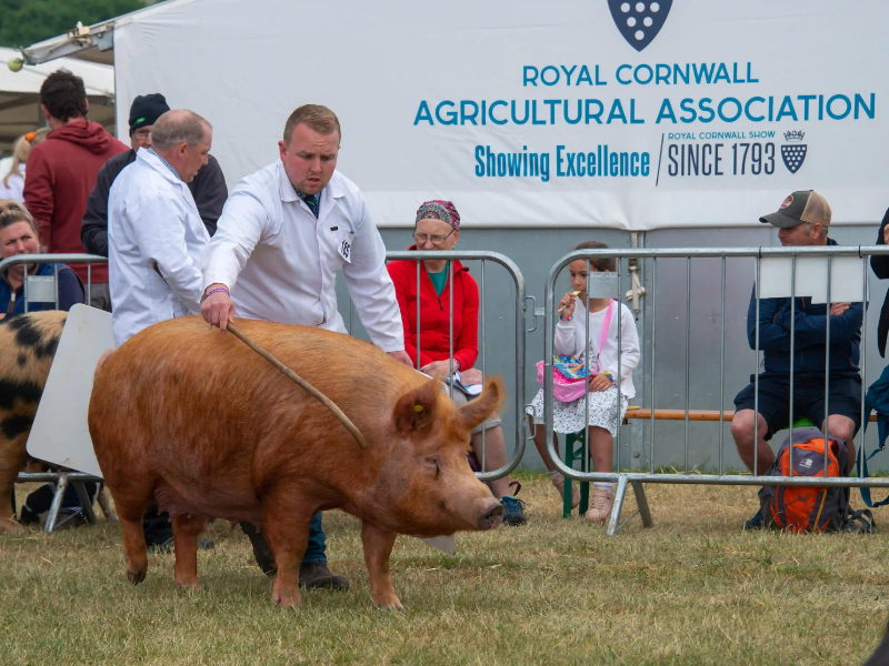 agricultural marquee